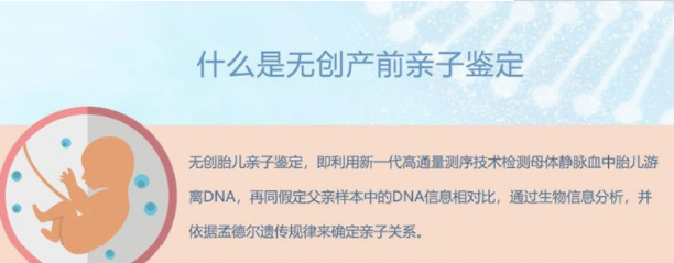 常德怀孕6个月如何做亲子鉴定,常德产前亲子鉴定多少钱一次